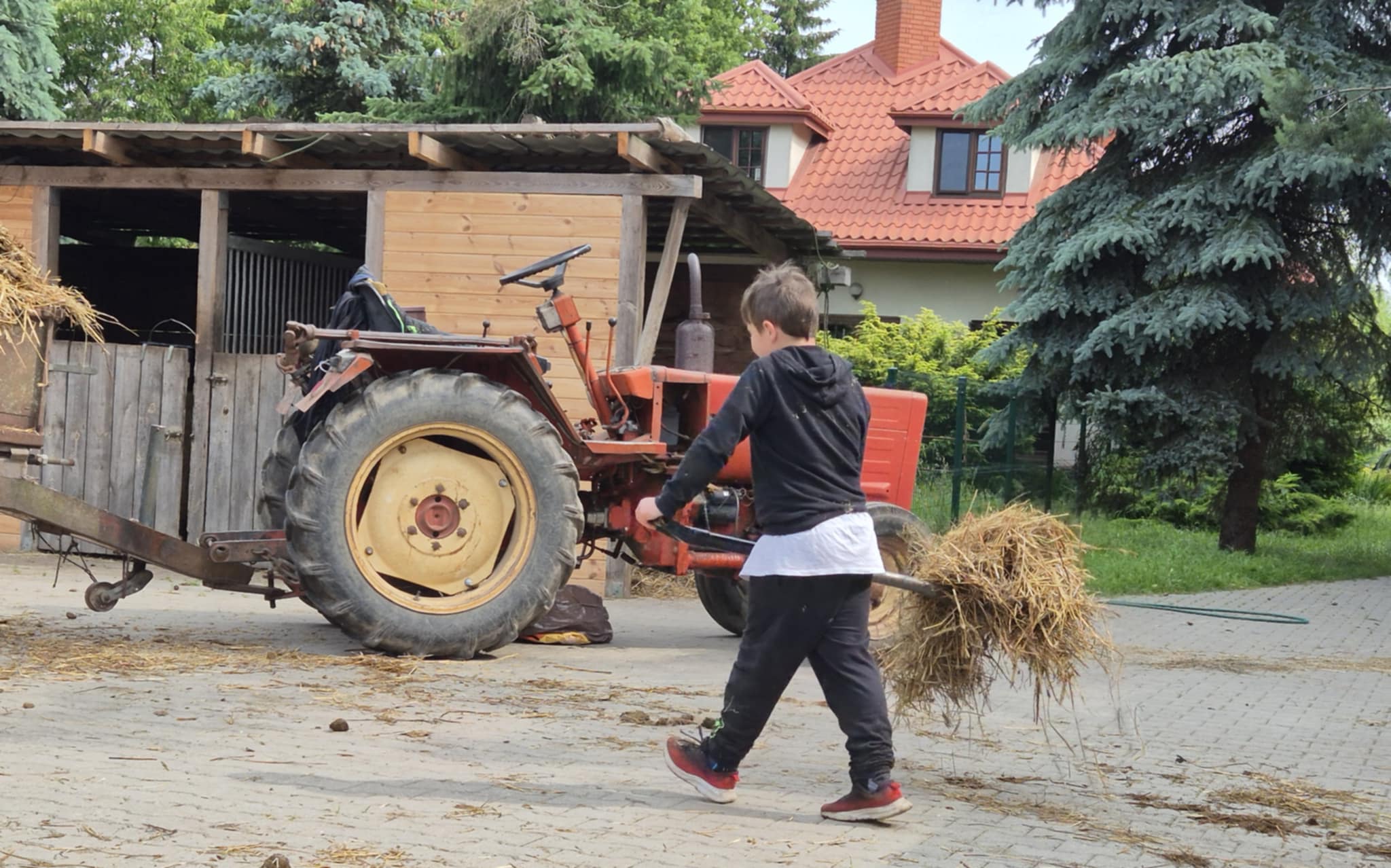 Wolontariat nieletnich w stajni – marzenie, pasja czy ryzyko?
