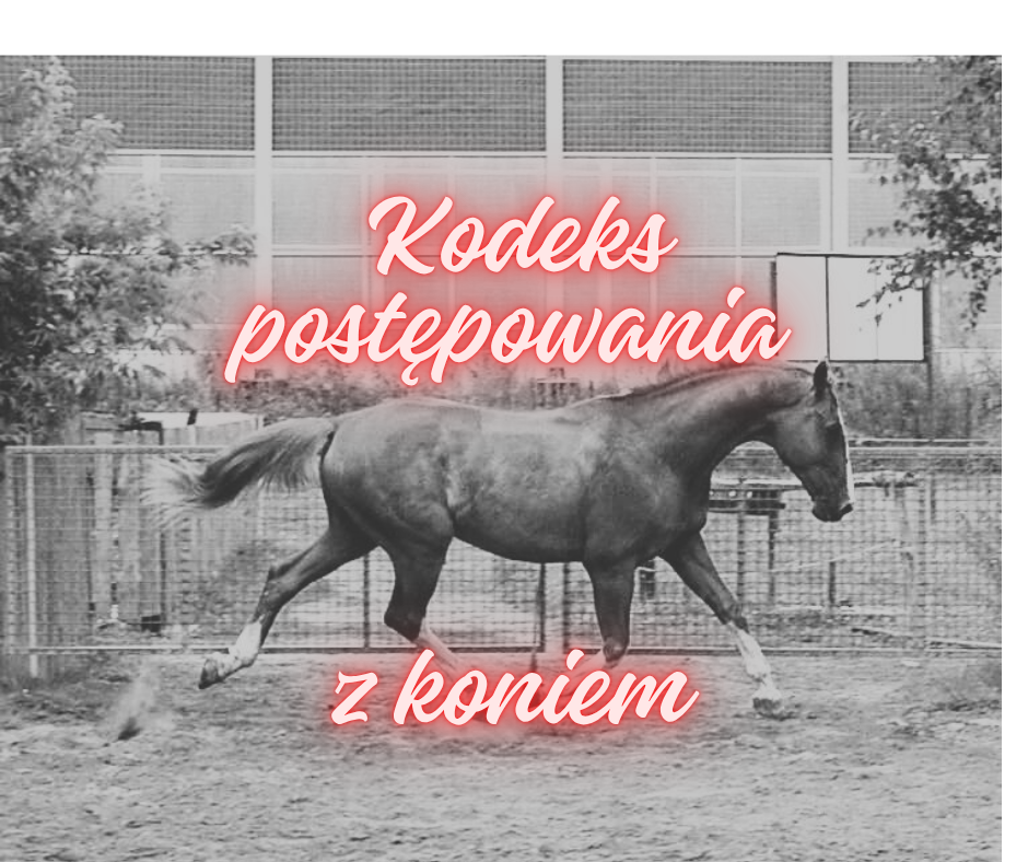 Kodeks postępowania z koniem