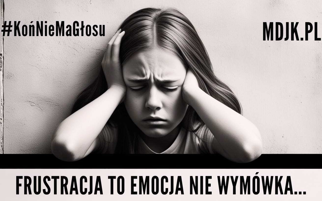 PANEL 2 – FRUSTRACJA – jako zjawisko psychologiczne i jej wpływ na rozwój dziecka