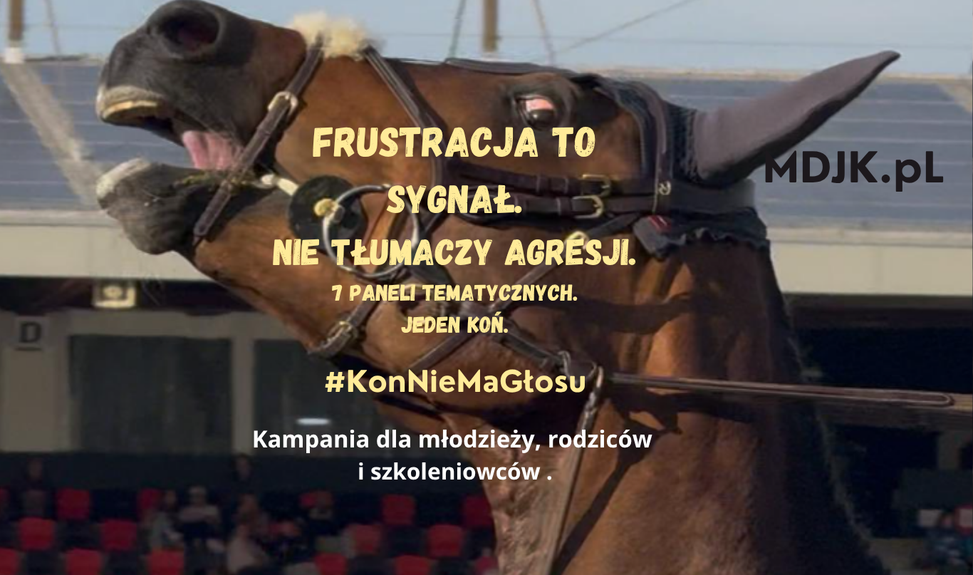 Zapowiedź kampanii społecznej #KońNieMaGłosu