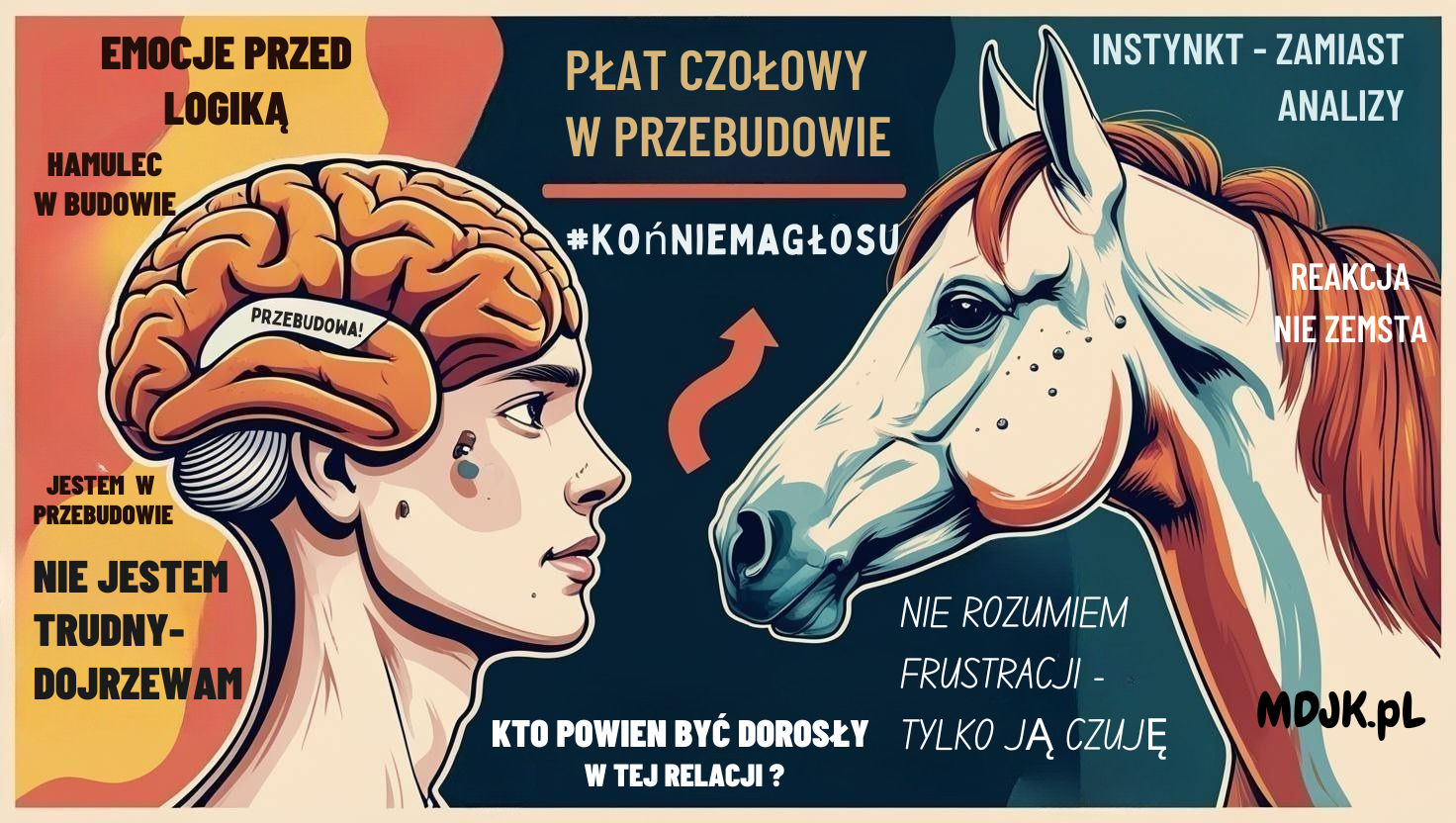 PANEL 1 – Mózg nastolatka vs mózg konia – impulsywność w świetle neurobiologii