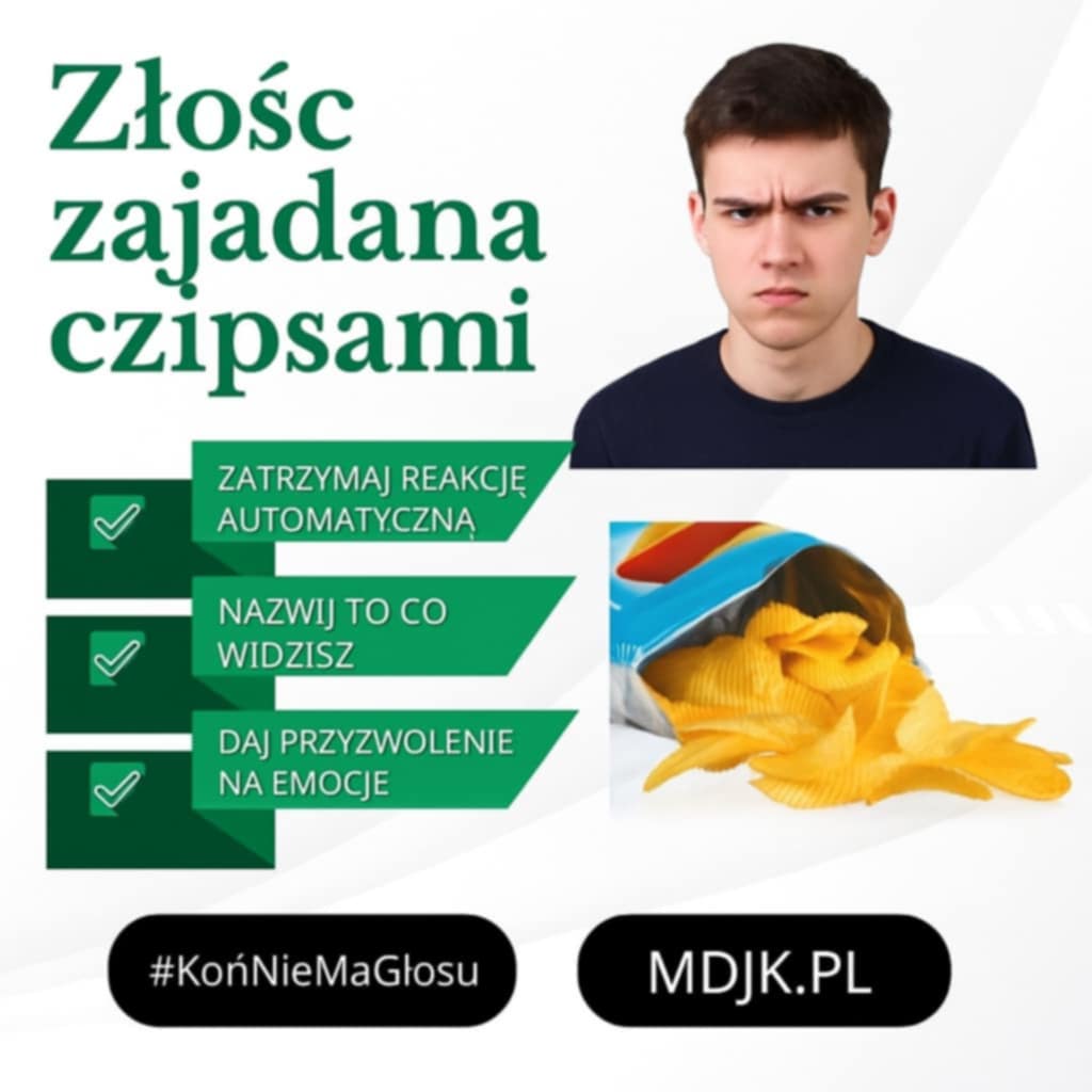 PANEL 2 FRUSTRACJA – Złość zajadana czipsami.